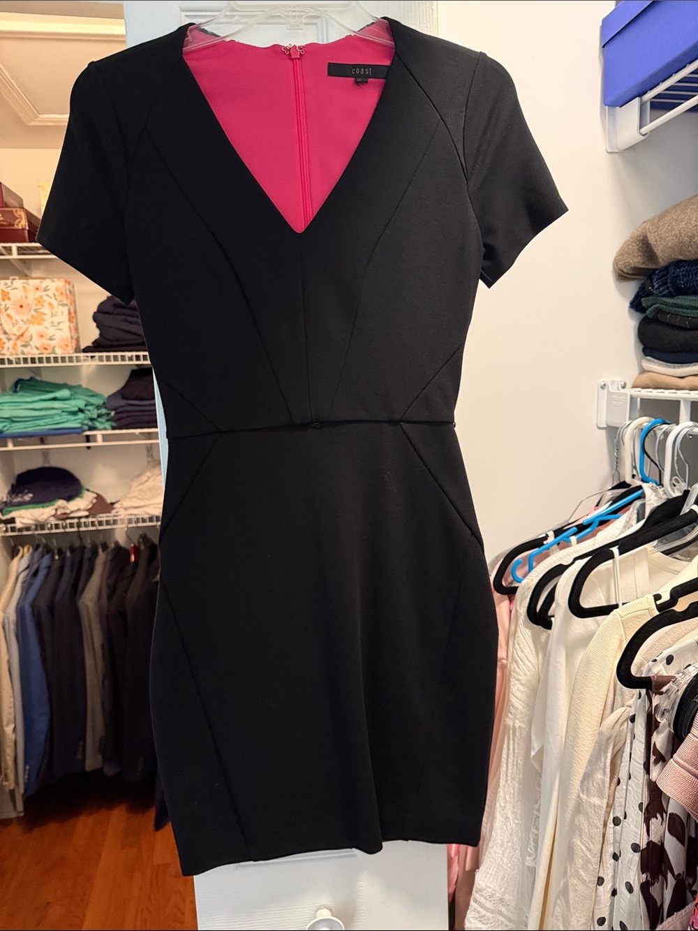 Coast Barbie V-Neck Short Sleeve Dress with Pink Lining